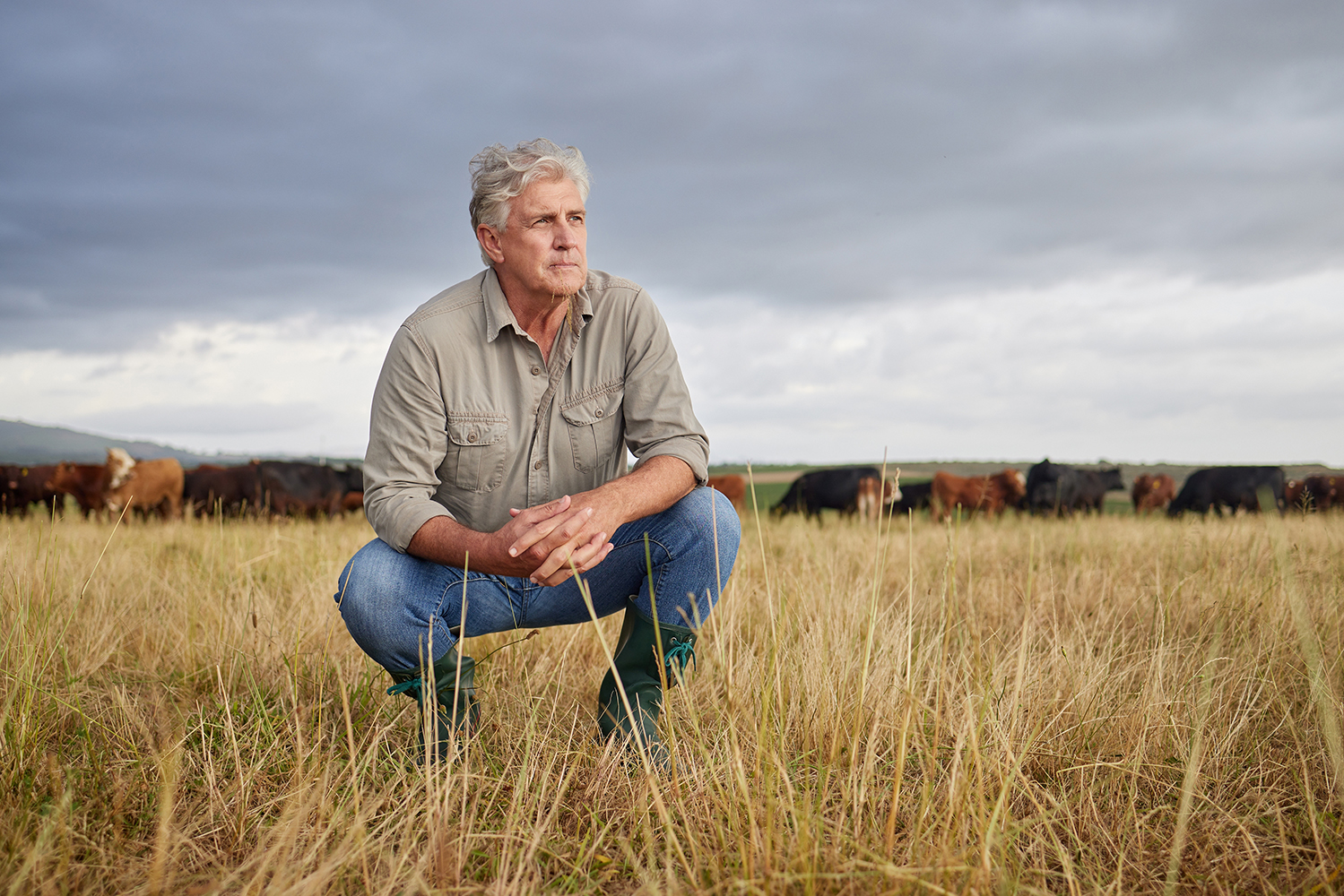 Auto and Property Insurance pose the greatest challenges to the agribusiness sector in what is generally a daunting property and casualty (P&C) market. 