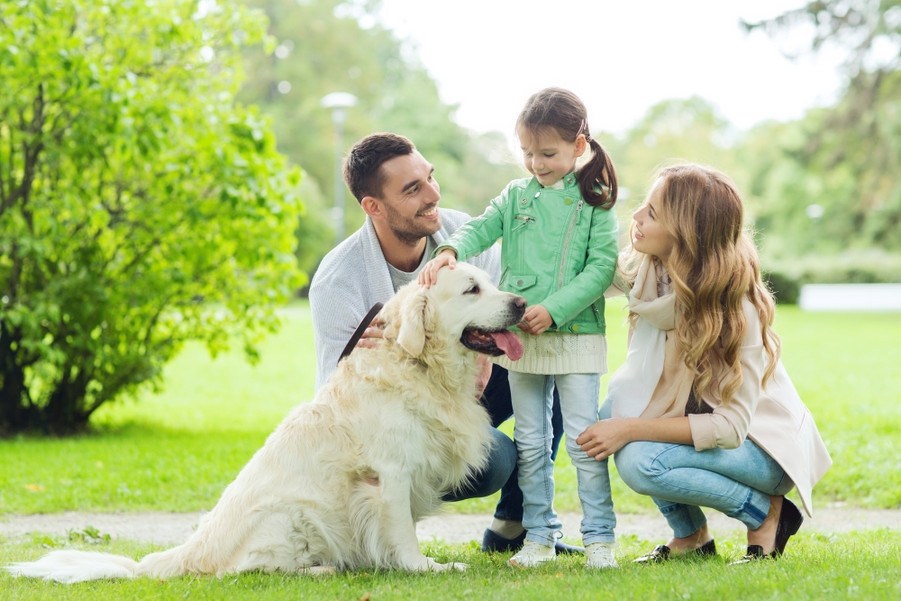 The Practical Value of Insuring Against Life’s Risks